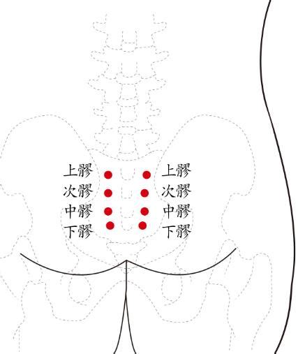 八穴|八髎